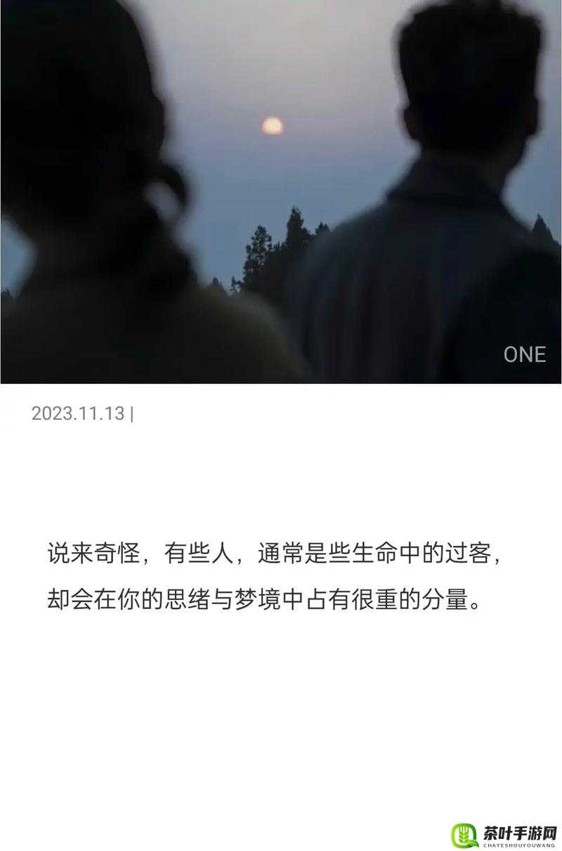 One致敬韩寒每日一部电影：开启独特的光影之旅