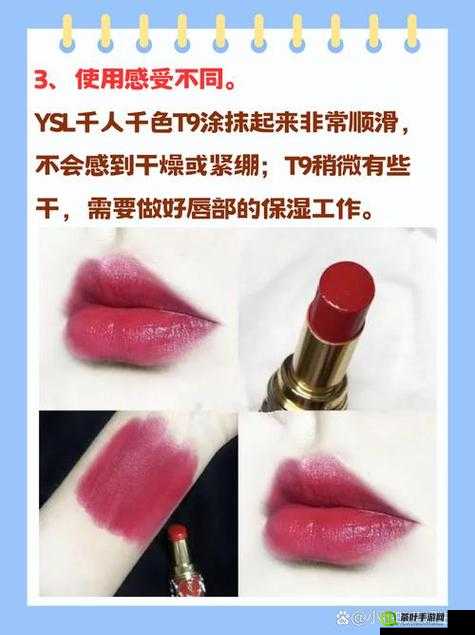 YSL 千人千色 T9T9T9T9MMD 魅力独特引领时尚潮流