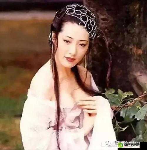 一级无码婬片 A 片毛片解说：探索人性的奥秘