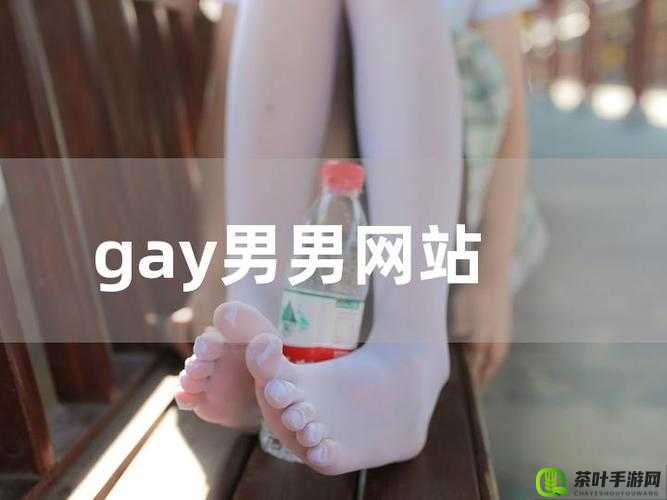 国产 chinesegay 激情演绎：不一样的兄弟情