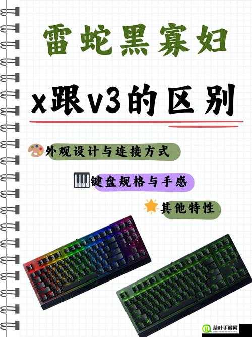 黑寡妇 V3 有线与无线区别大揭秘：性能表现各不同